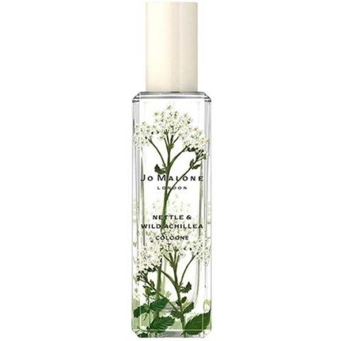Nettle & Wild Achillea
