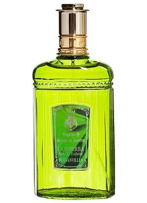 La Superba Bougainvillea