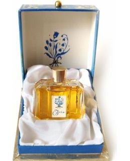 Modry Iris