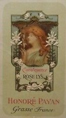 Rose Lys