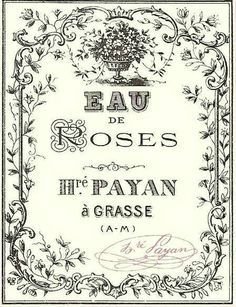 Eau de Roses