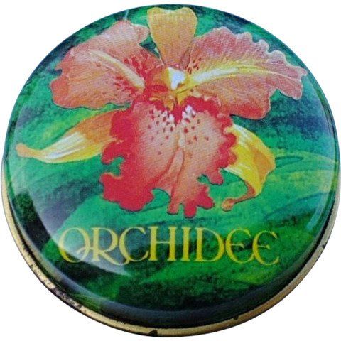 Orchidée (Parfum Crème)