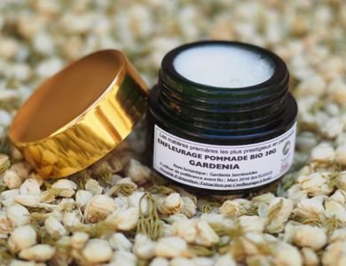 Gardénia (Enfleurage Pommade)