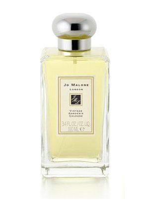 Vintage Gardenia