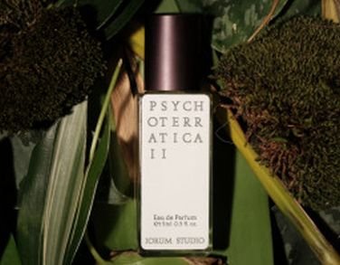 Psychoterratica II (2020)