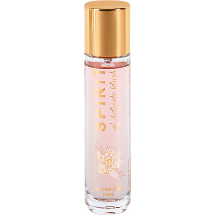 Spirit of Delicate Blush