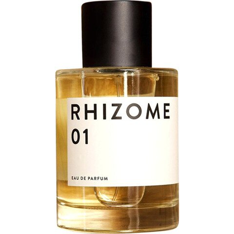 Rhizome 01