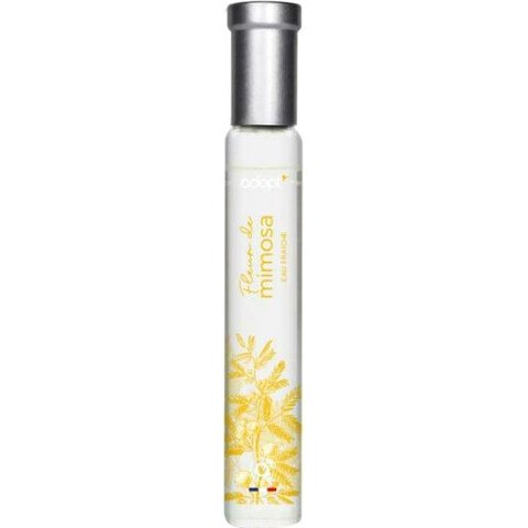 Fleur de Mimosa Eau fraîche