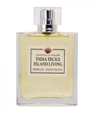 India Hicks Island Living Spider Lily