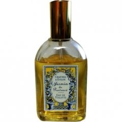 Jasmin de Provence