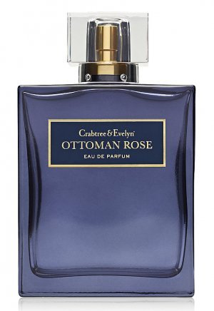 Ottoman Rose