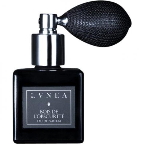 Bois de l'Obscurité / Bois Obscur