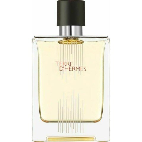 Terre d'Hermès Flacon H 2021 (Eau de Toilette)