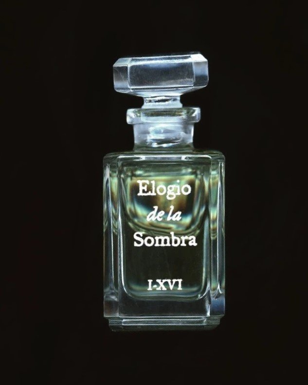 Elogio de la Sombra (Pura Esencia)