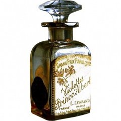 Violettes Prince Albert