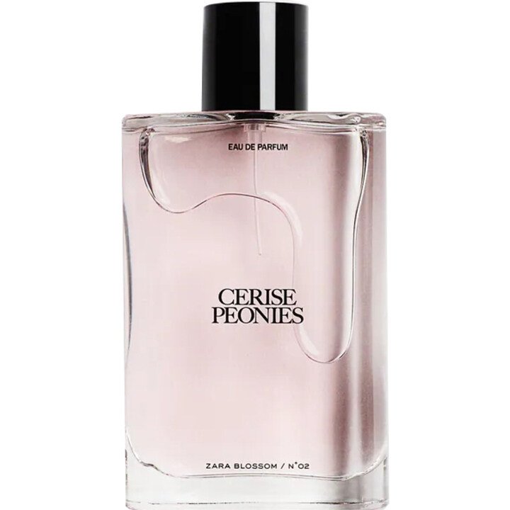 Zara Blossom N°02: Cerise Peonies