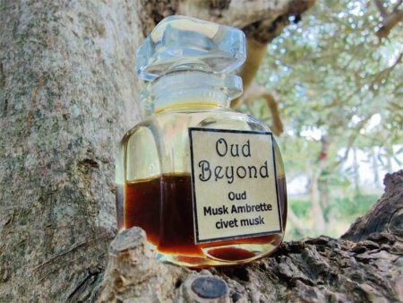 Oud Beyond