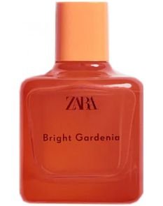 Bright Gardenia