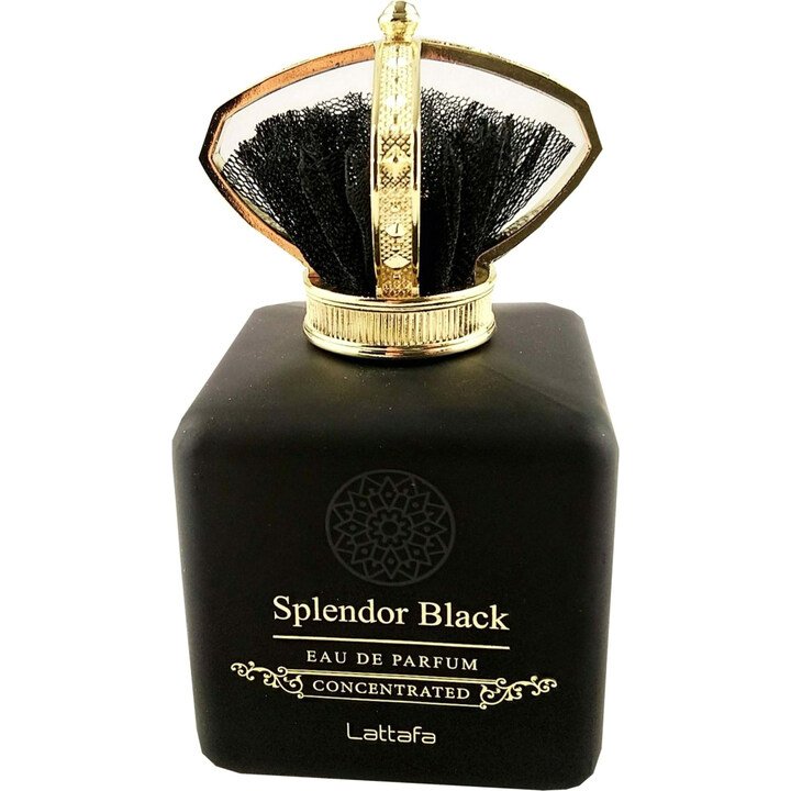 Splendor Black