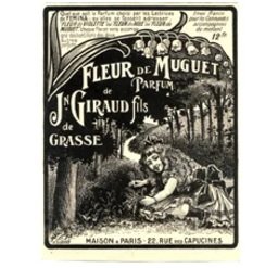 Fleur de Muguet