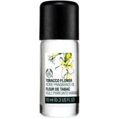 Tobacco Flower / Fleur de Tabac