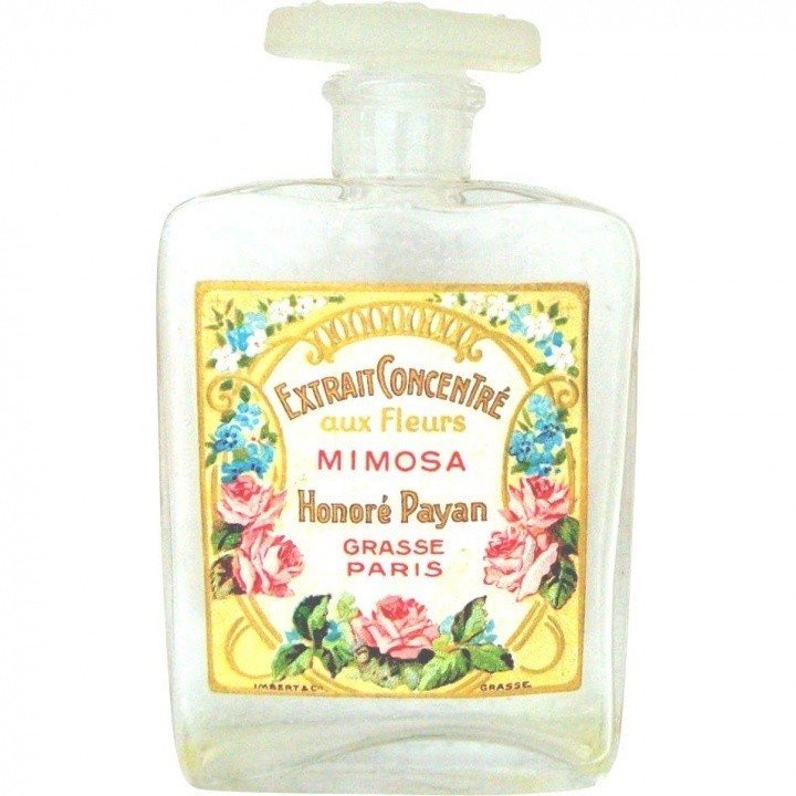Extrait Concentré aux Fleurs Mimosa
