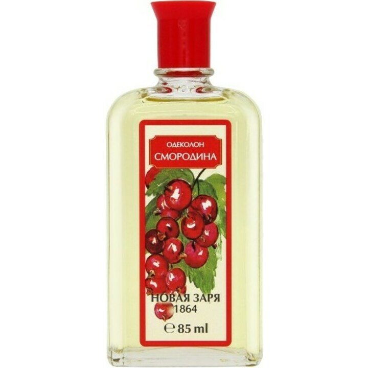 Smorodina / Смородина