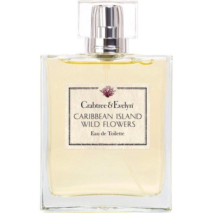 Caribbean Island Wild Flowers