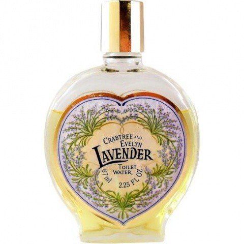 Lavender / Lavanda