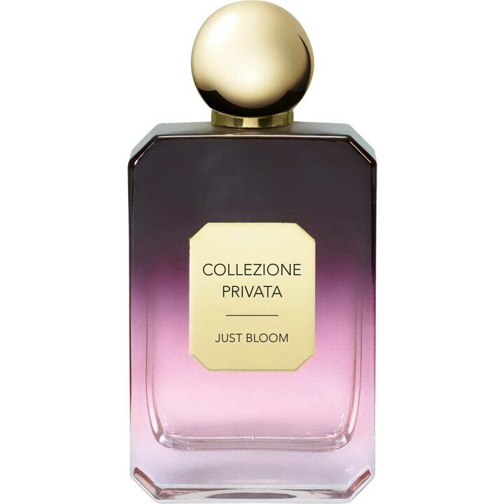 Collezione Privata: Just Bloom