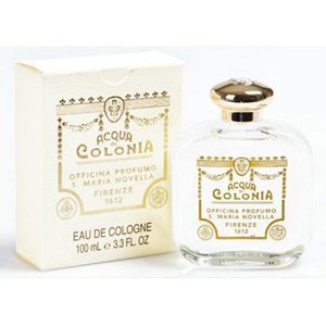 Verbena