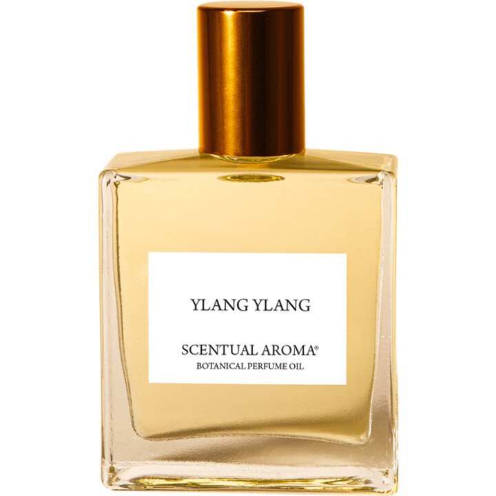Ylang Ylang