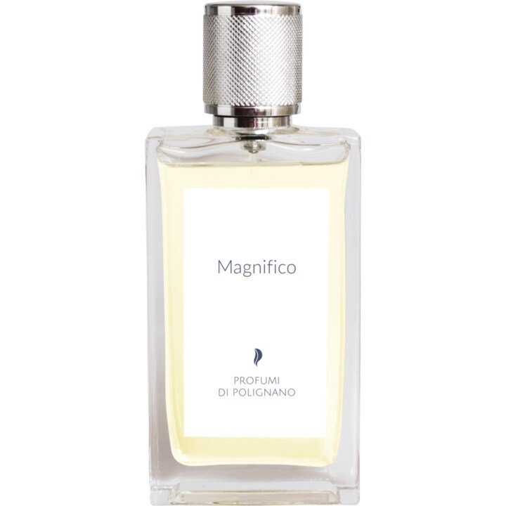 Magnifico (Eau de Parfum)