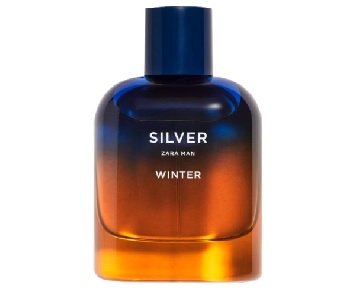 Silver Winter Zara Man