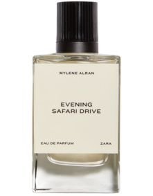 Evening Safari Drive