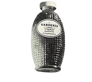 Gardenia de France