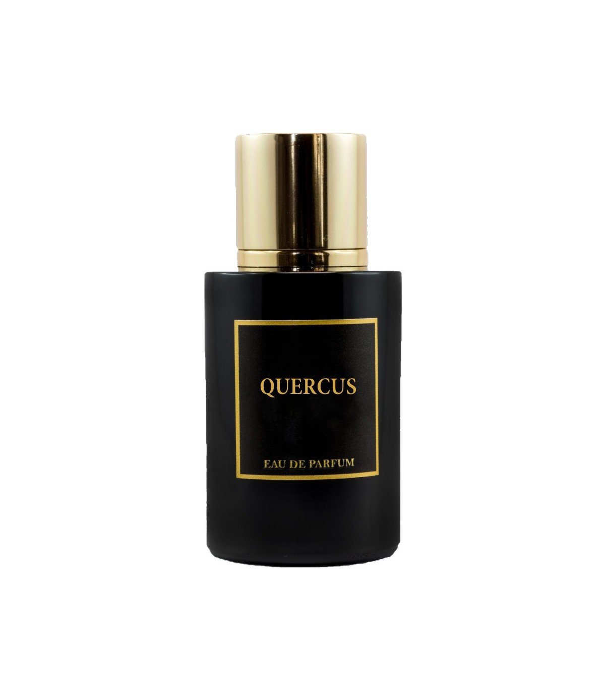 Quercus
