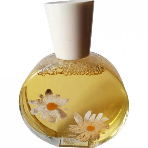 Delicate Daisies