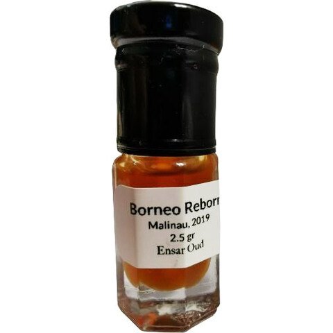 Borneo Reborn