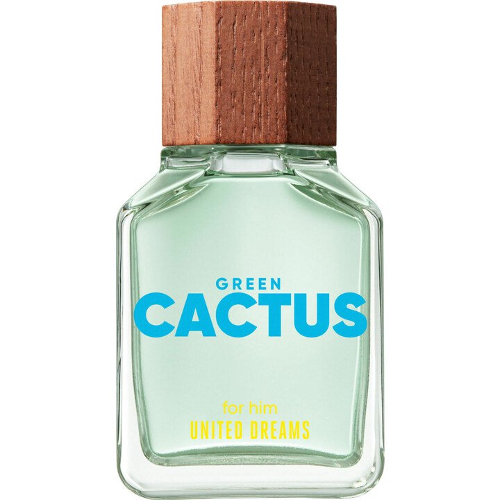 United Dreams Green Cactus for Him