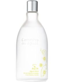Caminho das Águas: Água Citrus Chá de Hibisco e Laranja