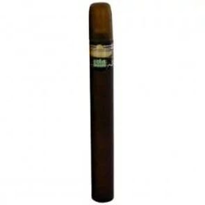 Cuba Mexico / Brazil Cactus for Women