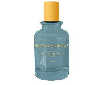 Hortus Conclusus Tulipa