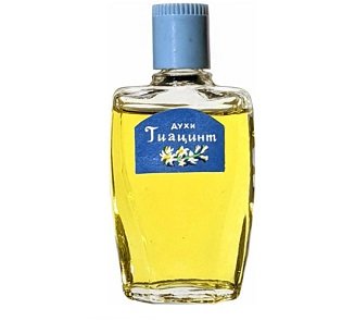 Hyacinth / Гиацинт