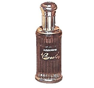 Burvis (Diviner)