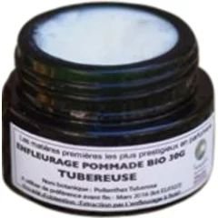 Tubéreuse (Enfleurage Pomade)