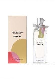 Guardian Angel: Destiny