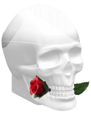 Skulls & Roses for Her