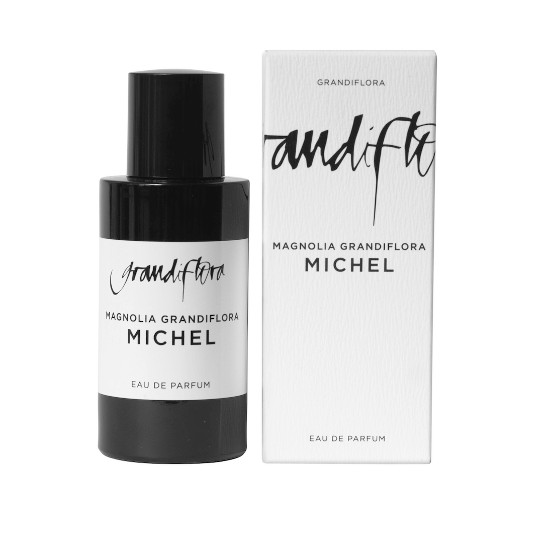 Magnolia Grandiflora Michel