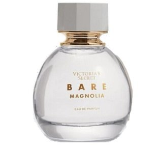 Bare Magnolia